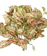 Artificial COLEUS