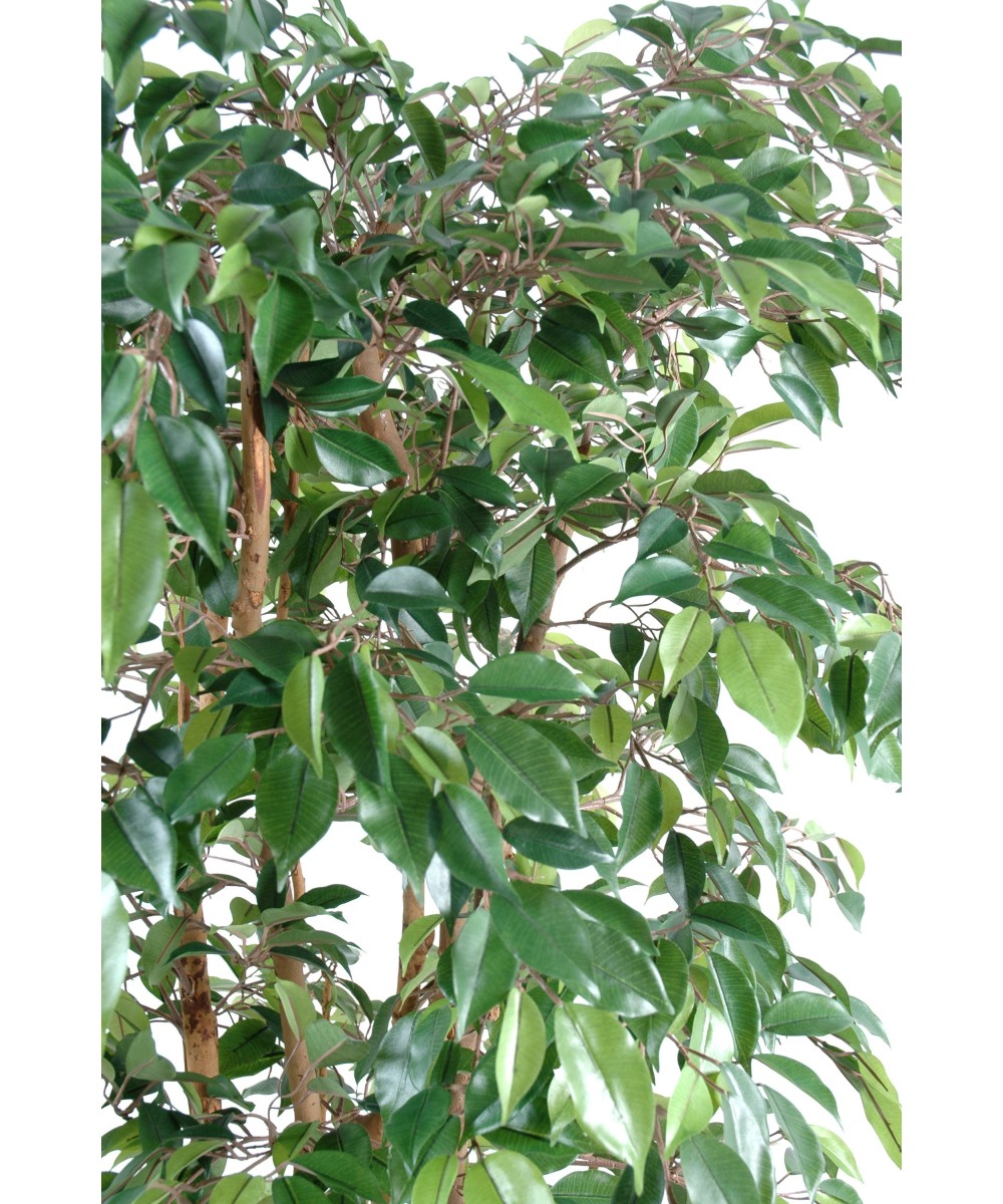 Artificial ficus NATASJA MULTITREE