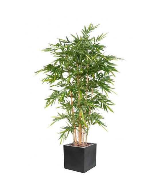 Artificial BAMBOO LUXURY NEW IN CUBIC FIBER