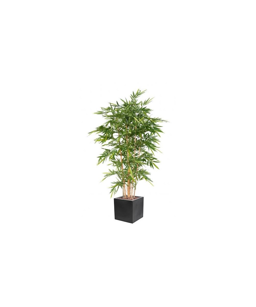Artificial BAMBOO LUXURY NEW IN CUBIC FIBER