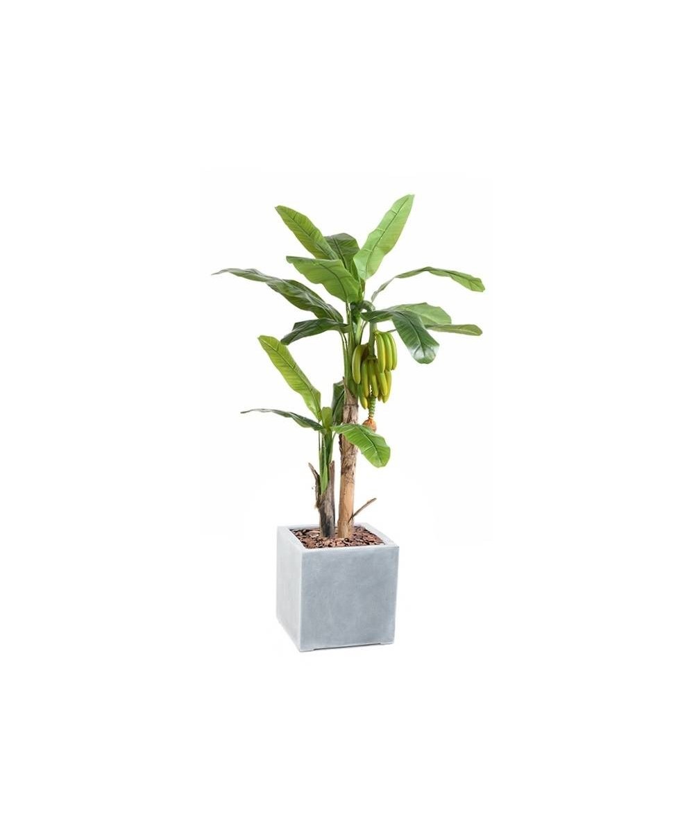 Artificial BANANA TREE WITH FRUIT IN CUBIC FIBER