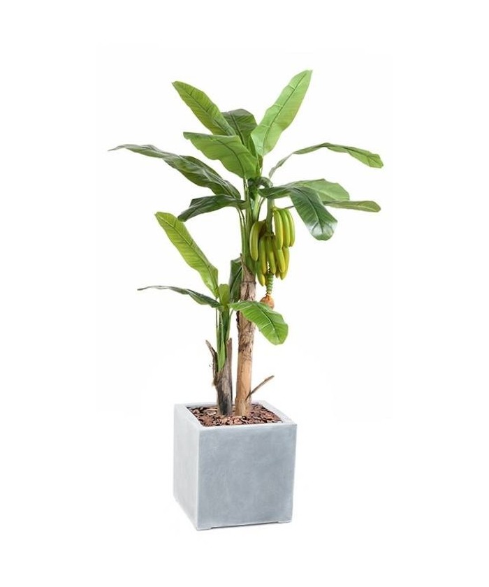 Artificial BANANA TREE WITH FRUIT IN CUBIC FIBER