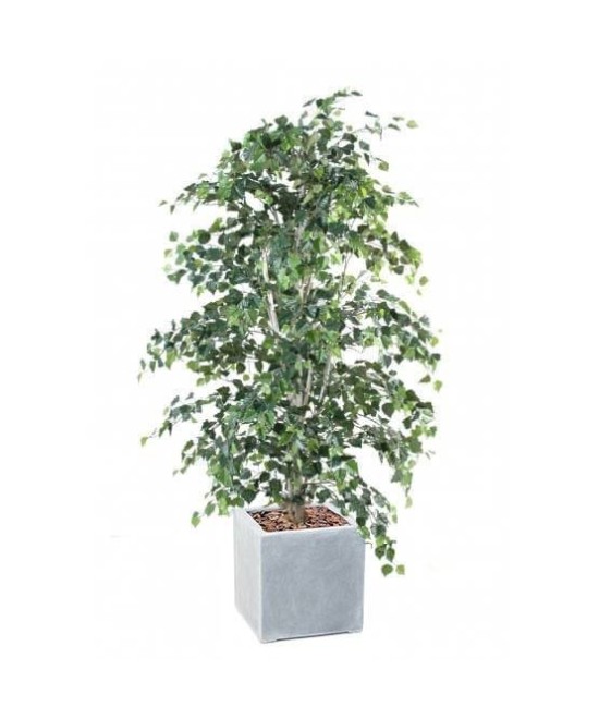 Artificial BIRCH IN CUBIC FIBER