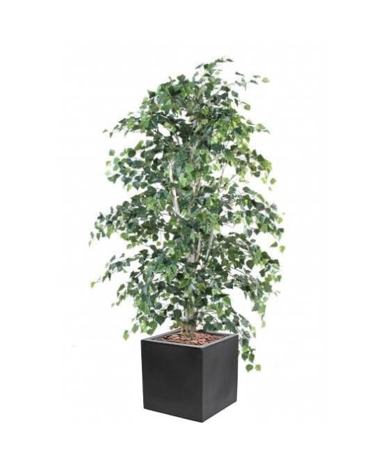 Artificial BIRCH IN CUBIC FIBER