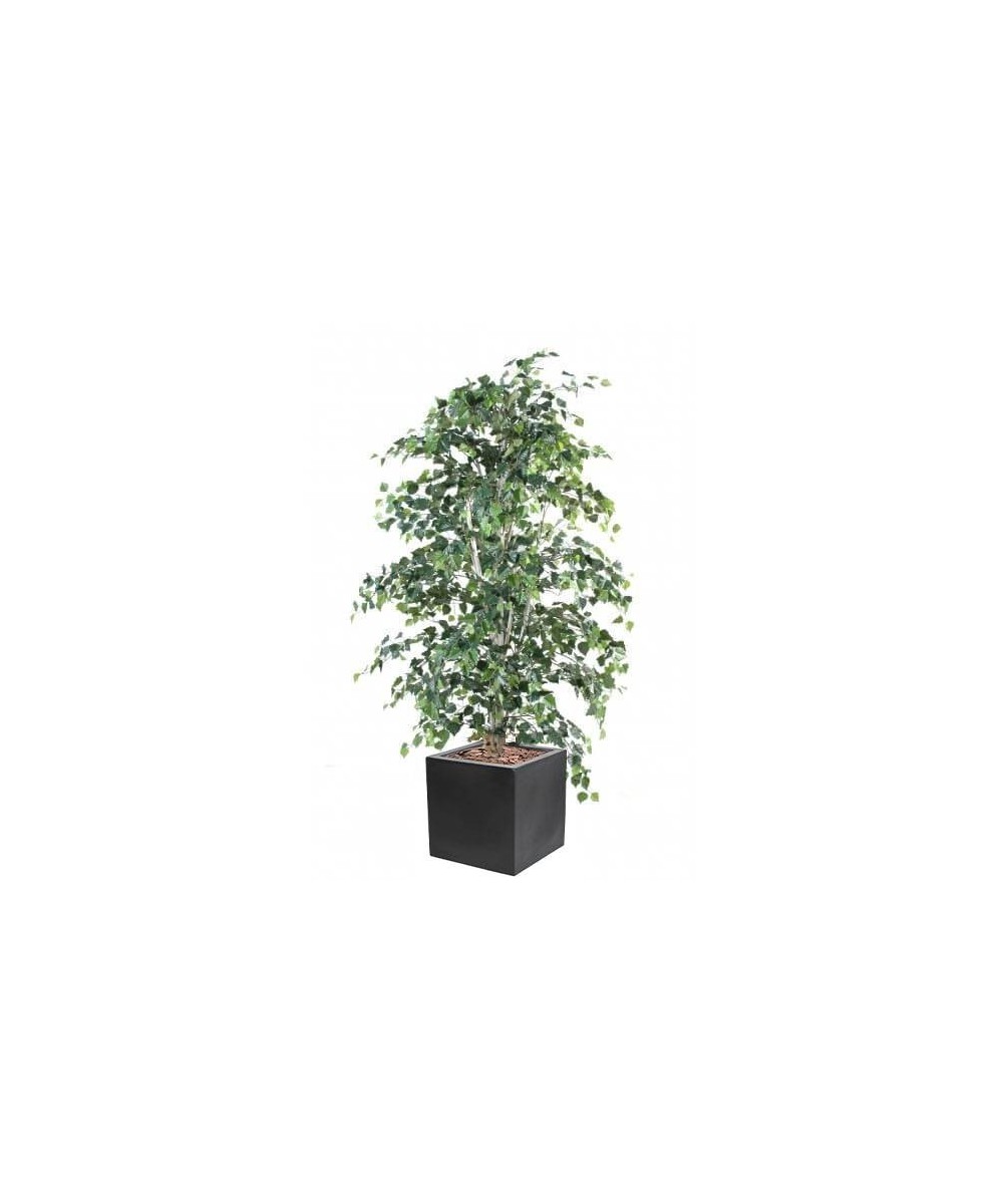 Artificial BIRCH IN CUBIC FIBER