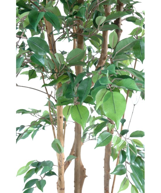 Artificial ficus NATASJA MULTITREE