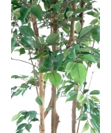 Artificial ficus NATASJA MULTITREE