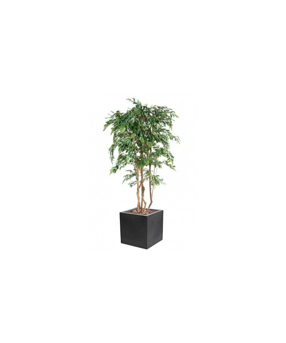 Artificial FICUS NATASJA MULTITREE IN CUBIC FIBER