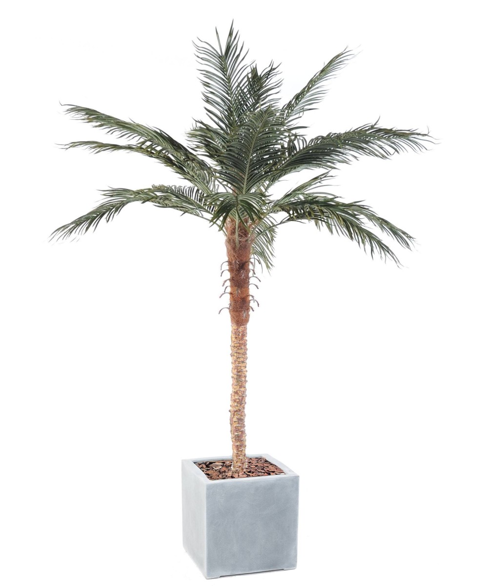 Artificial PHOENIX PALM IN CUBIC FIBER