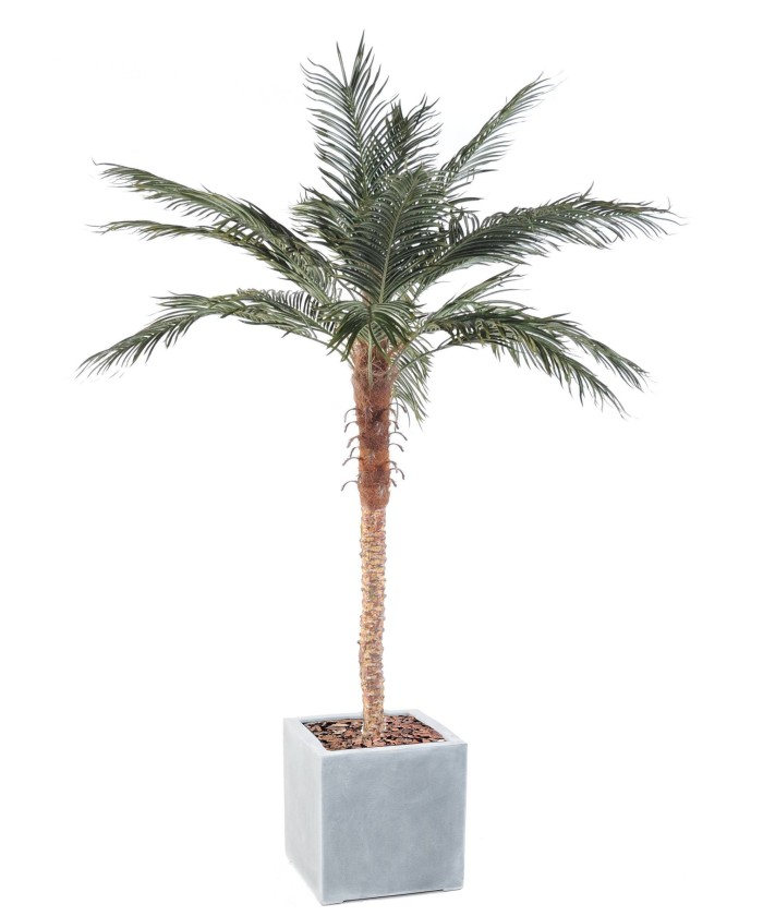 Artificial PHOENIX PALM IN CUBIC FIBER