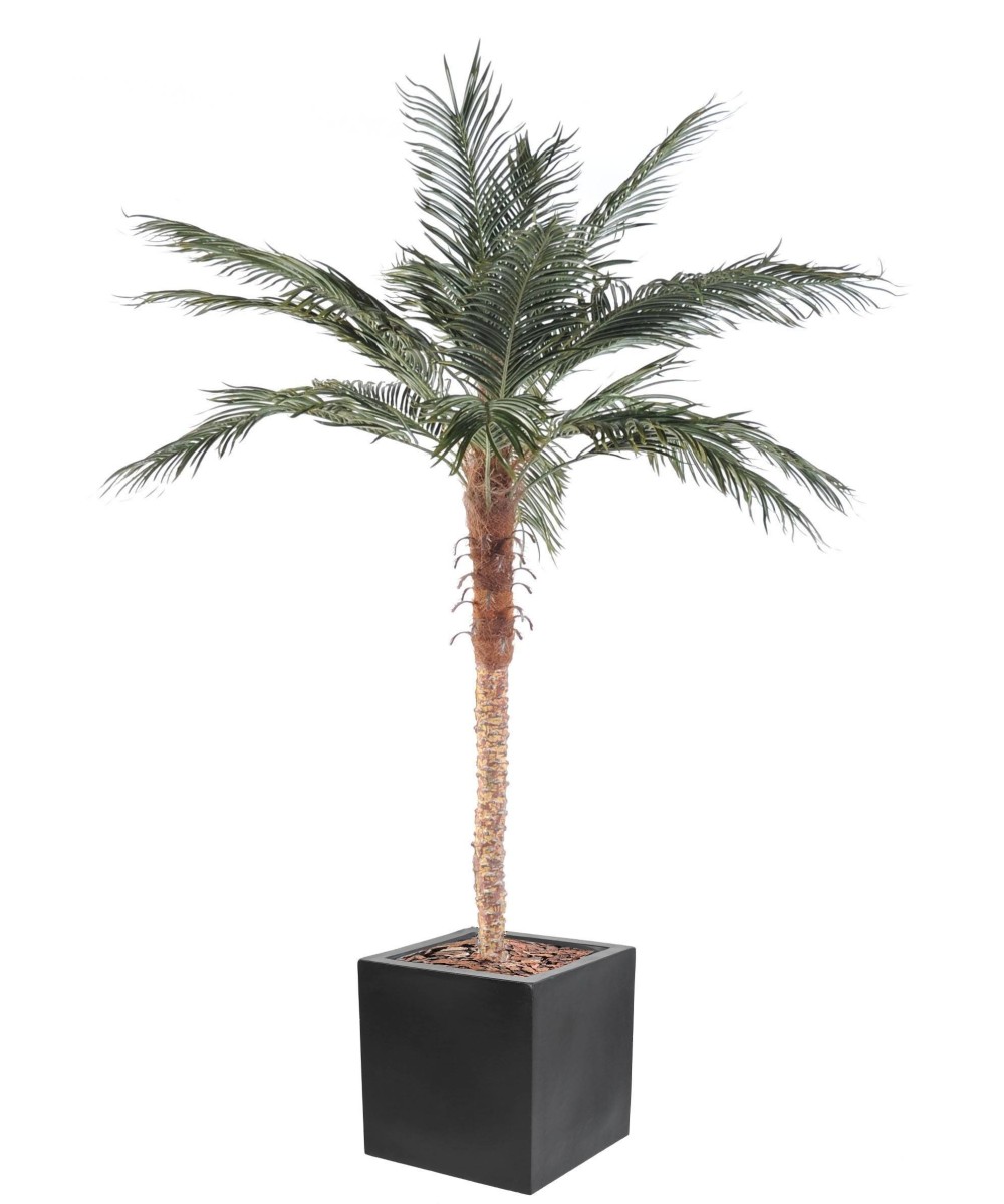 Kunstlik Fööniksipalm kuubikkiududest