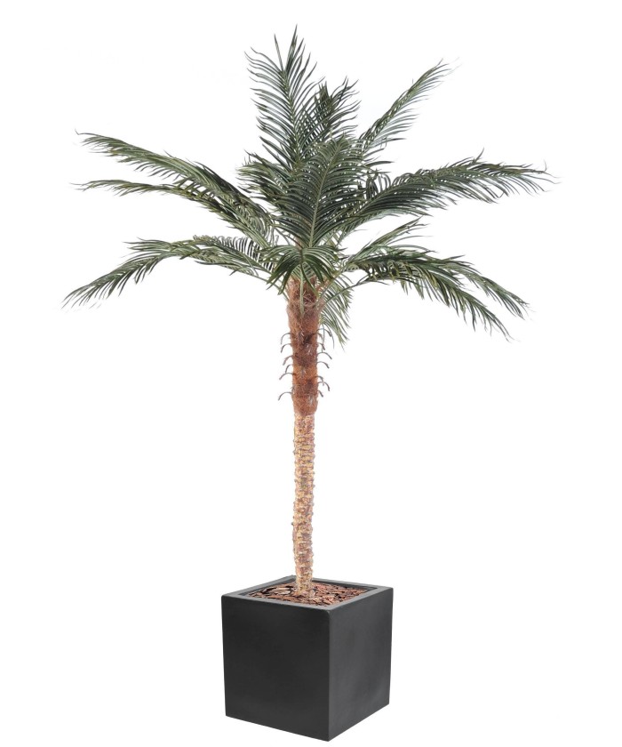 Kunstlik Fööniksipalm kuubikkiududest