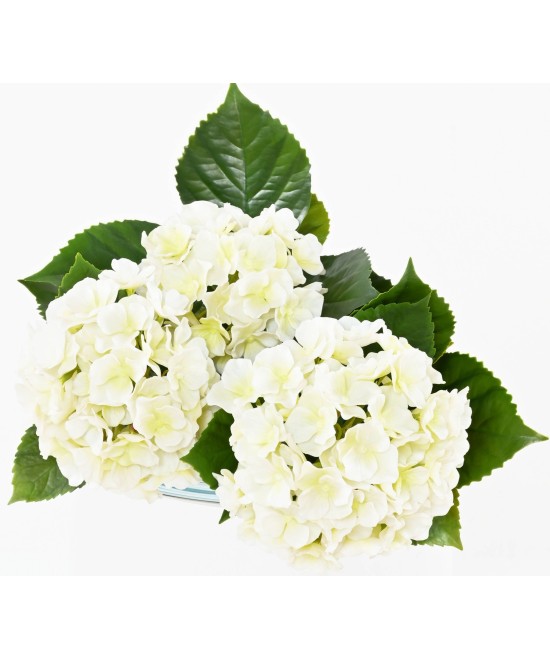 Artificial HYDRANGEA *3H 45 UV RESISTANT