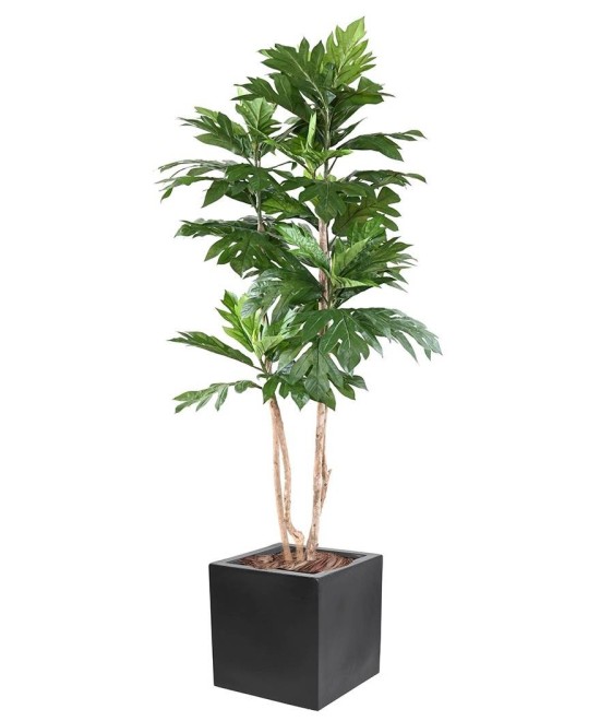 Kunstlik ARTOCARPUS ALTILIS mitmetüveline kiudmaterjalist kuubikus