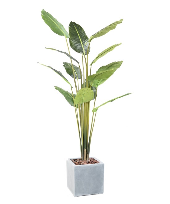 Artificial TRAVELLERS PALM TREE IN CUBIC FIBER