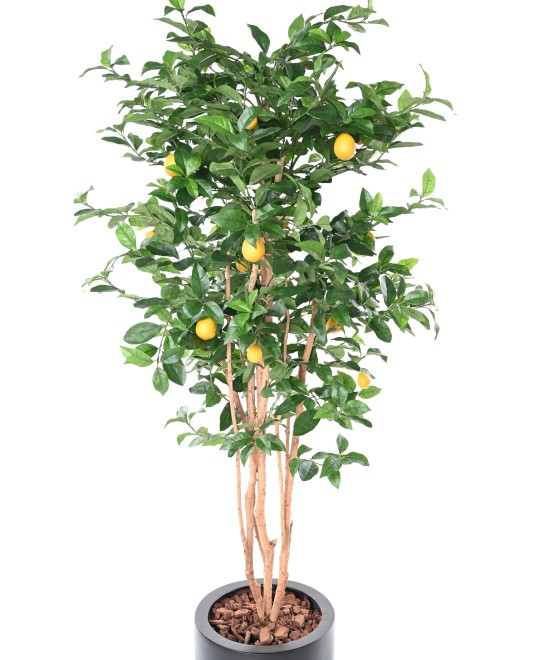 Artificial LEMON TREE NEW IN FIBER CYLINDER