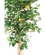 Artificial LEMON TREE NEW IN FIBER CYLINDER