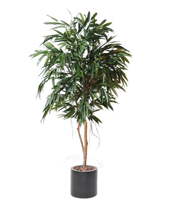 Artificial FICUS ALII ROYAL IN FIBER CYLINDER