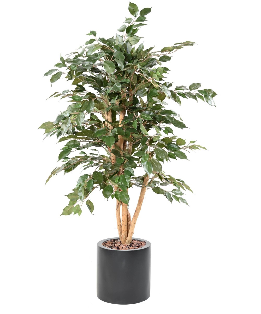 Artificial FICUS BENJAMINA ECO IN FIBER CYLINDER