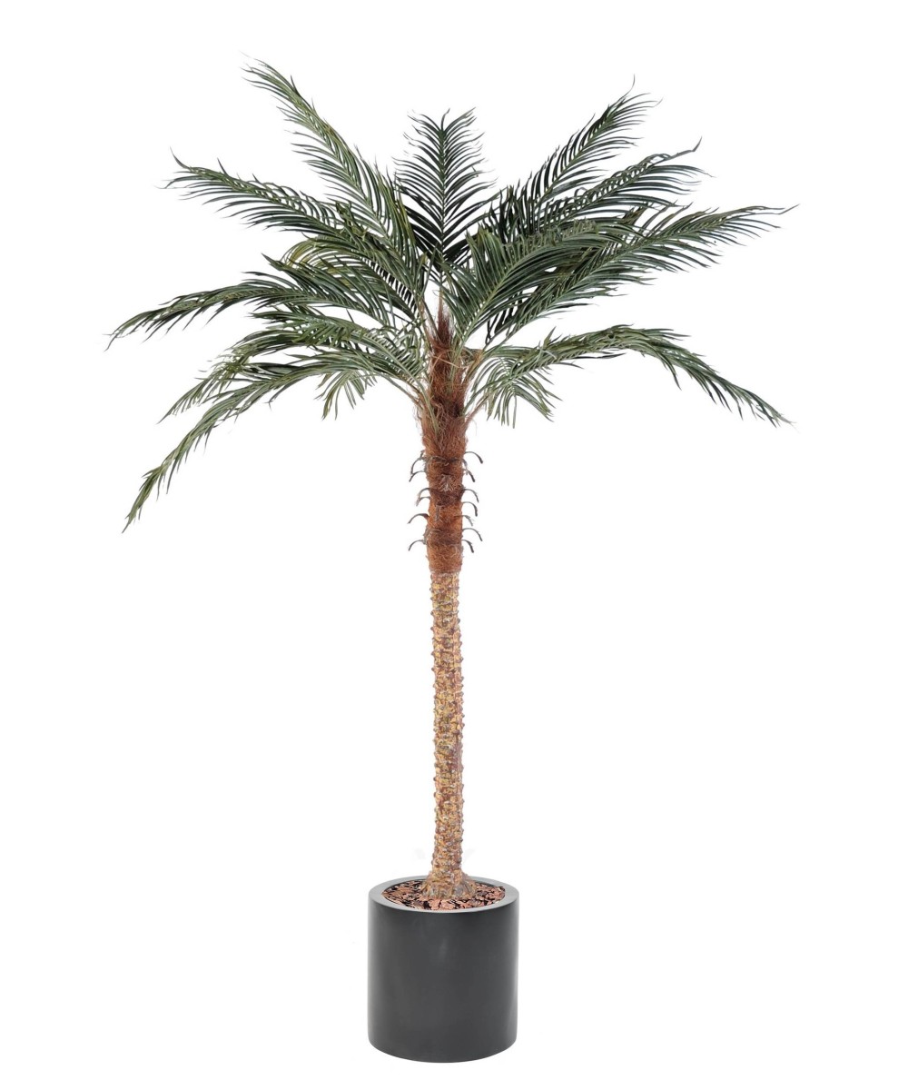 Artificial PHOENIX PALM IN FIBER CYLINDER