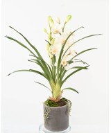 Artificial CYMBIDIUM PLANT IN FIBER CYLINDER