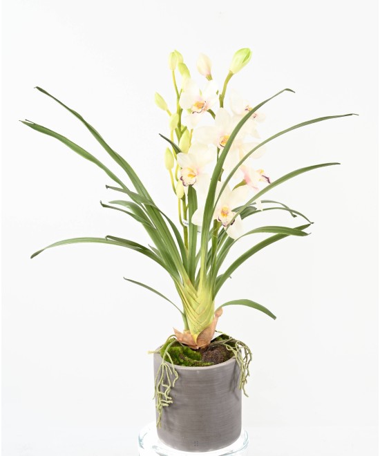 Artificial CYMBIDIUM PLANT IN FIBER CYLINDER