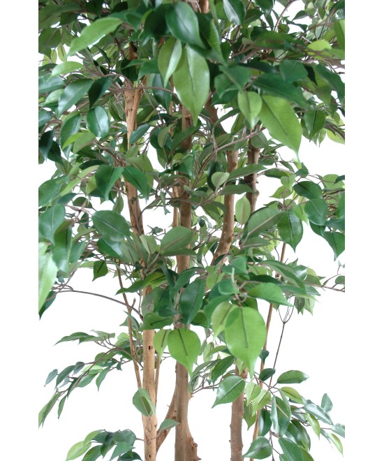 Artificial ficus NATASJA MULTITREE