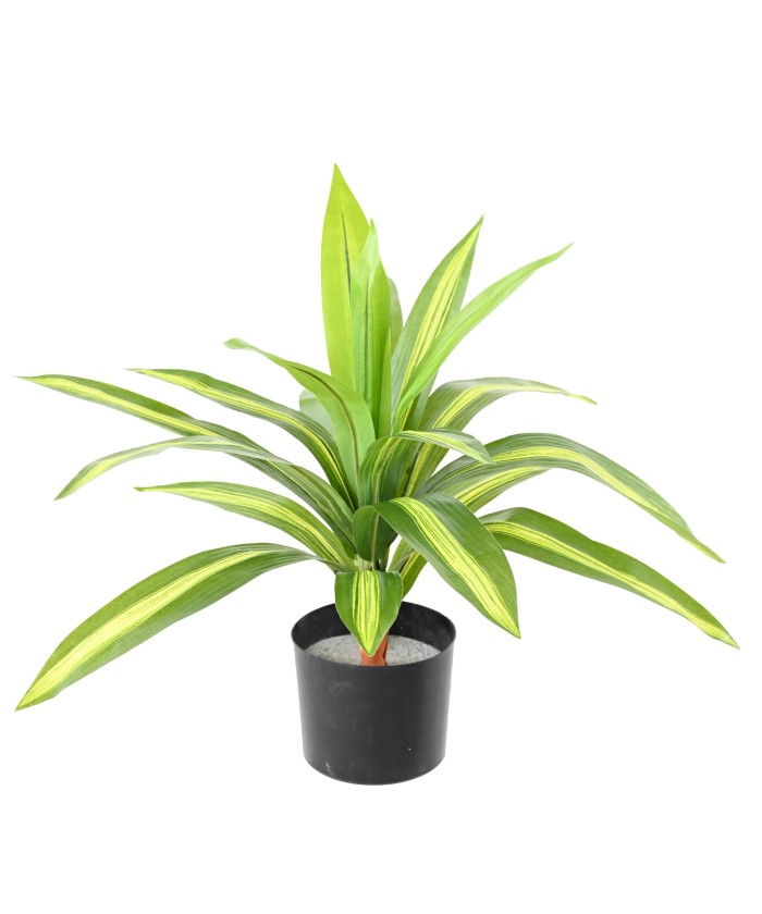 Artificial LARGE DRACAENA