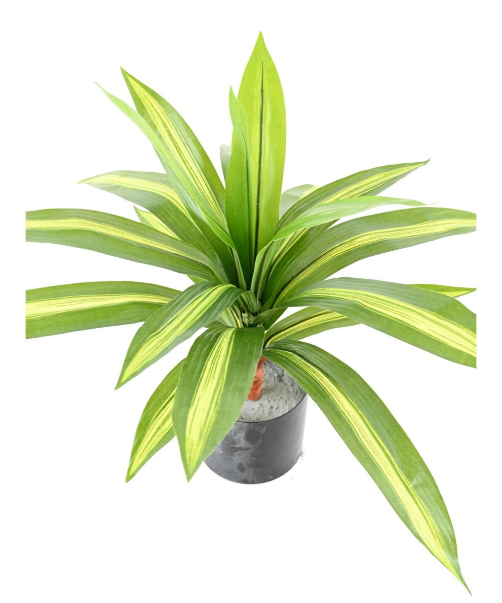 Artificial LARGE DRACAENA