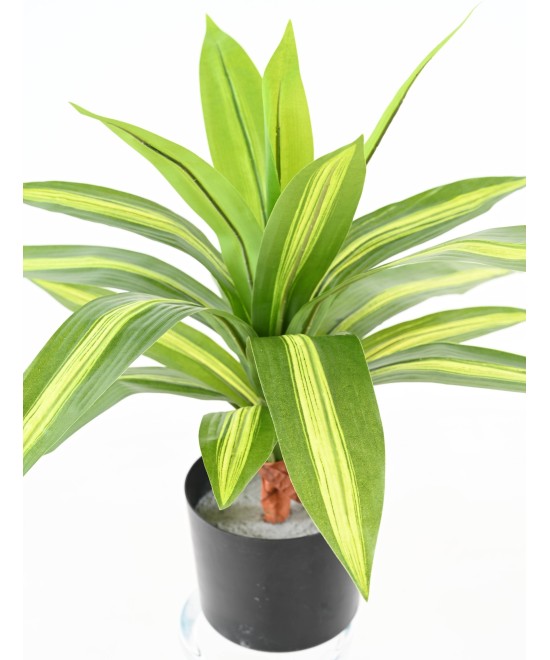 Artificial LARGE DRACAENA