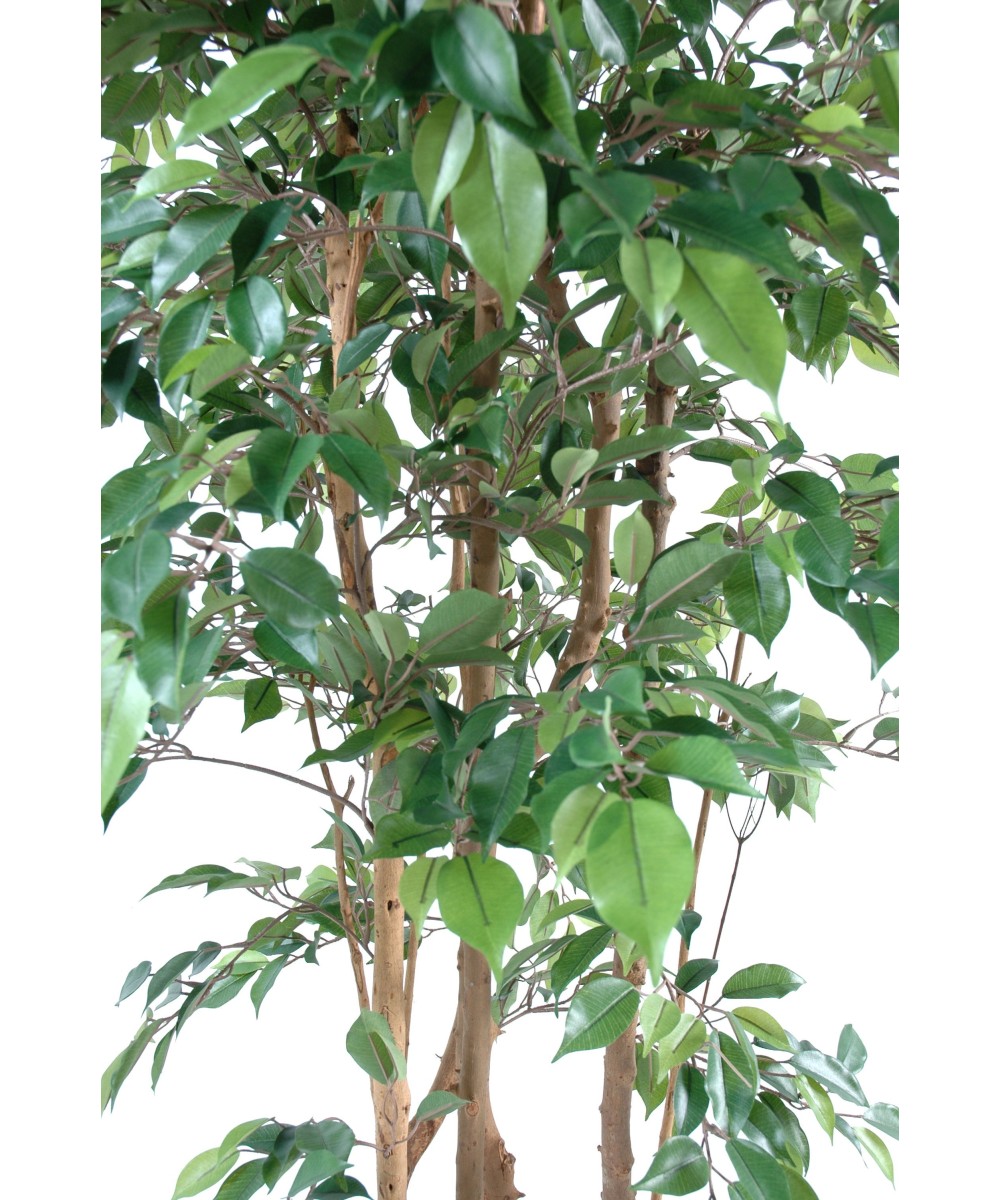 Artificial ficus NATASJA MULTITREE