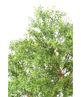 Artificial EUCALYPTUS TREE UV