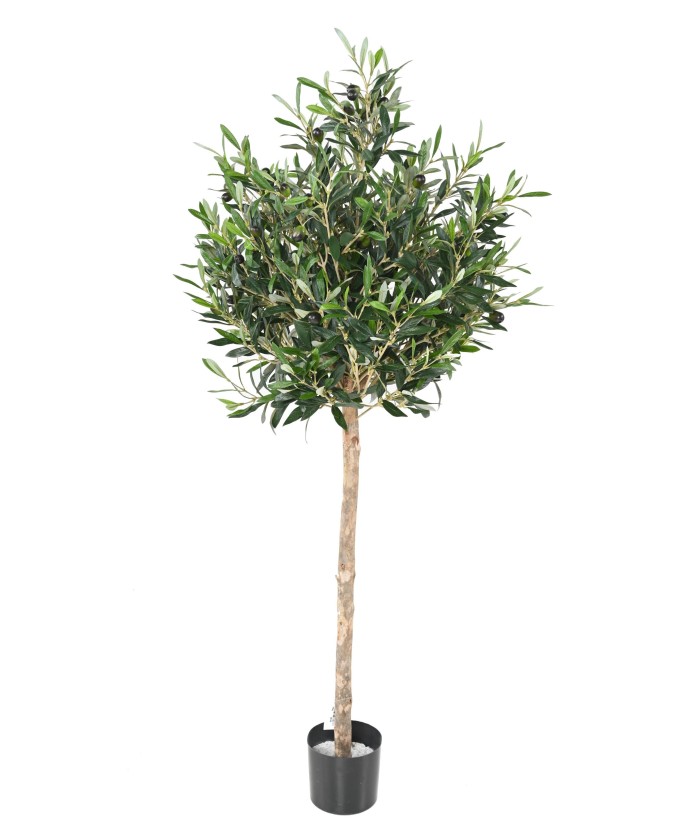 Artificial olive tree HEAD