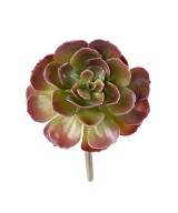Artificial CRASSULA ECHEVERIA
