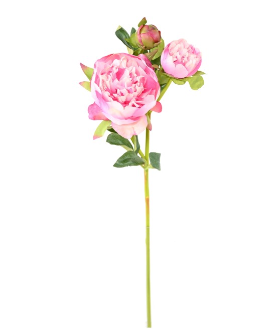 Kunstlik pojeng 20.1