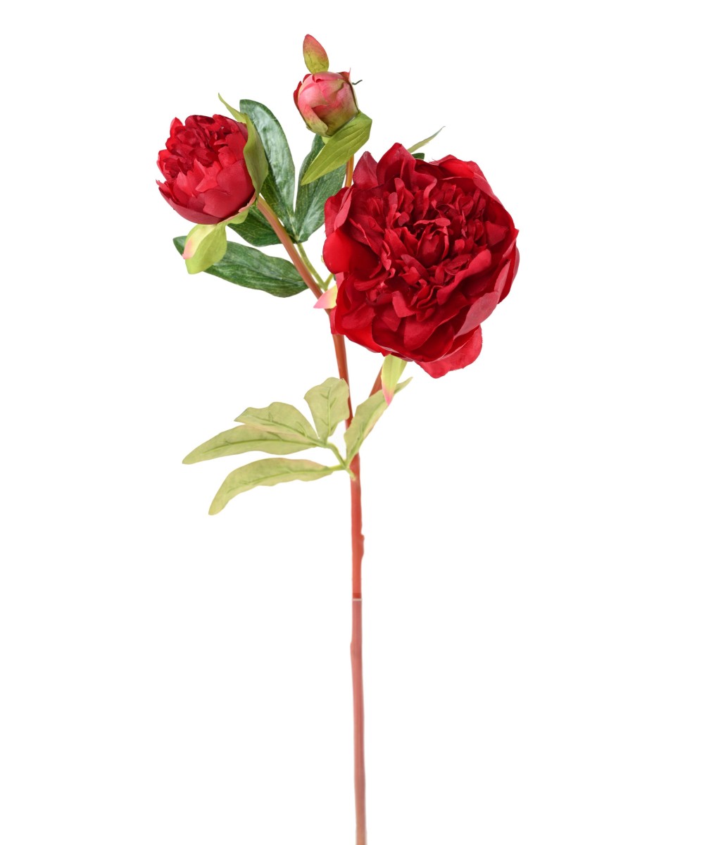 Artificial PEONY 20.1