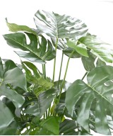 Artificial PHILODENDRON MONSTERA POT 72