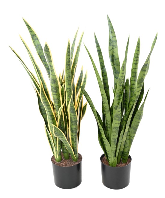 Artificial SANSEVIERIA 85