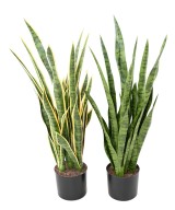 Artificial SANSEVIERIA 85