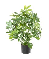 Artificial SCHEFFLERA POT PLAST 50 UV