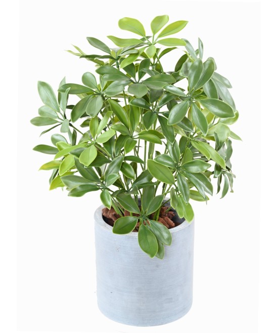 Kunstlik Schefflera pott plast 50 UV