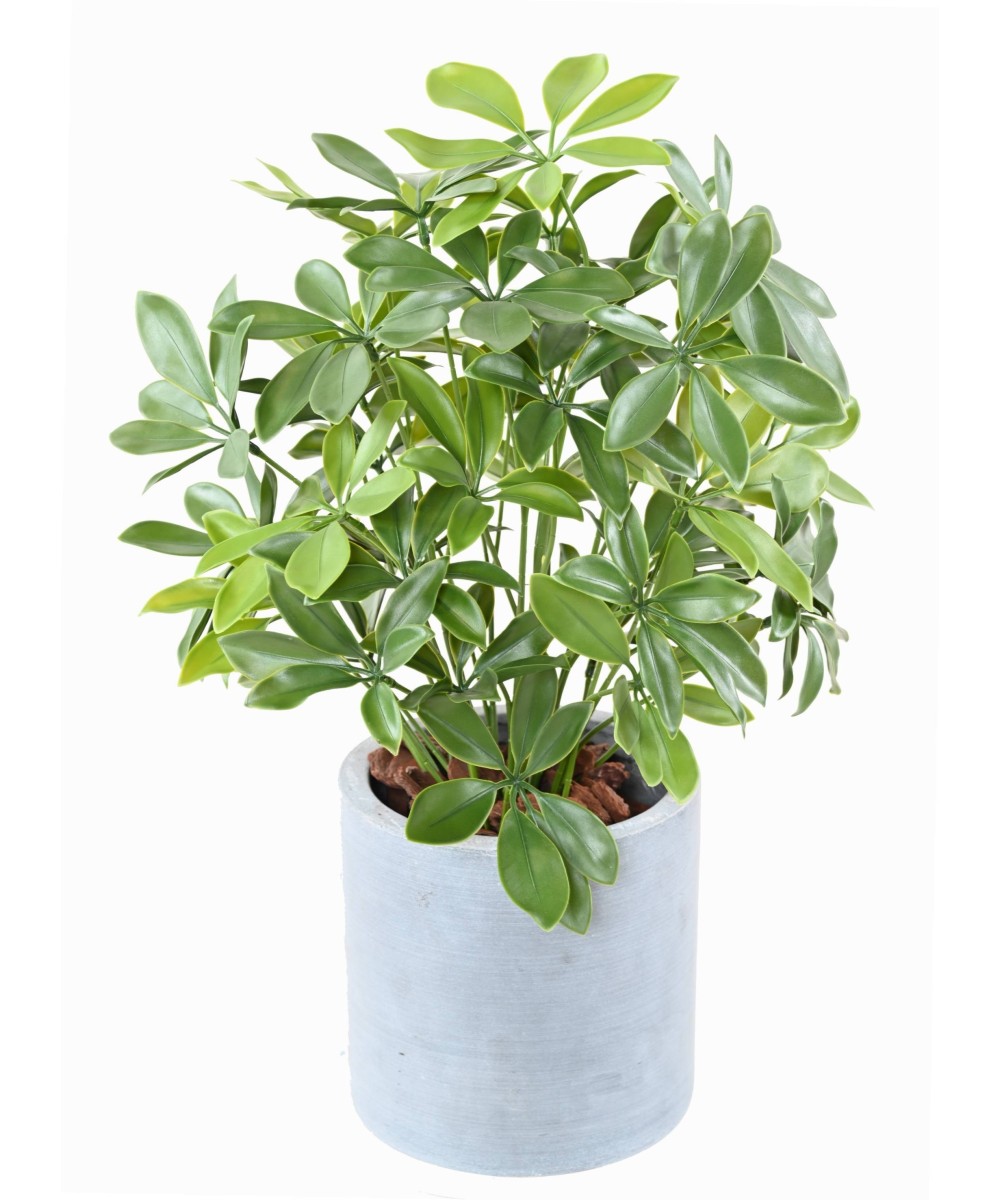 Artificial SCHEFFLERA POT PLAST 50 UV
