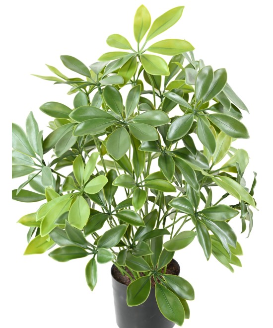 Artificial SCHEFFLERA POT PLAST 50 UV