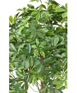 Artificial SCHEFFLERA BUSH PLAST UV