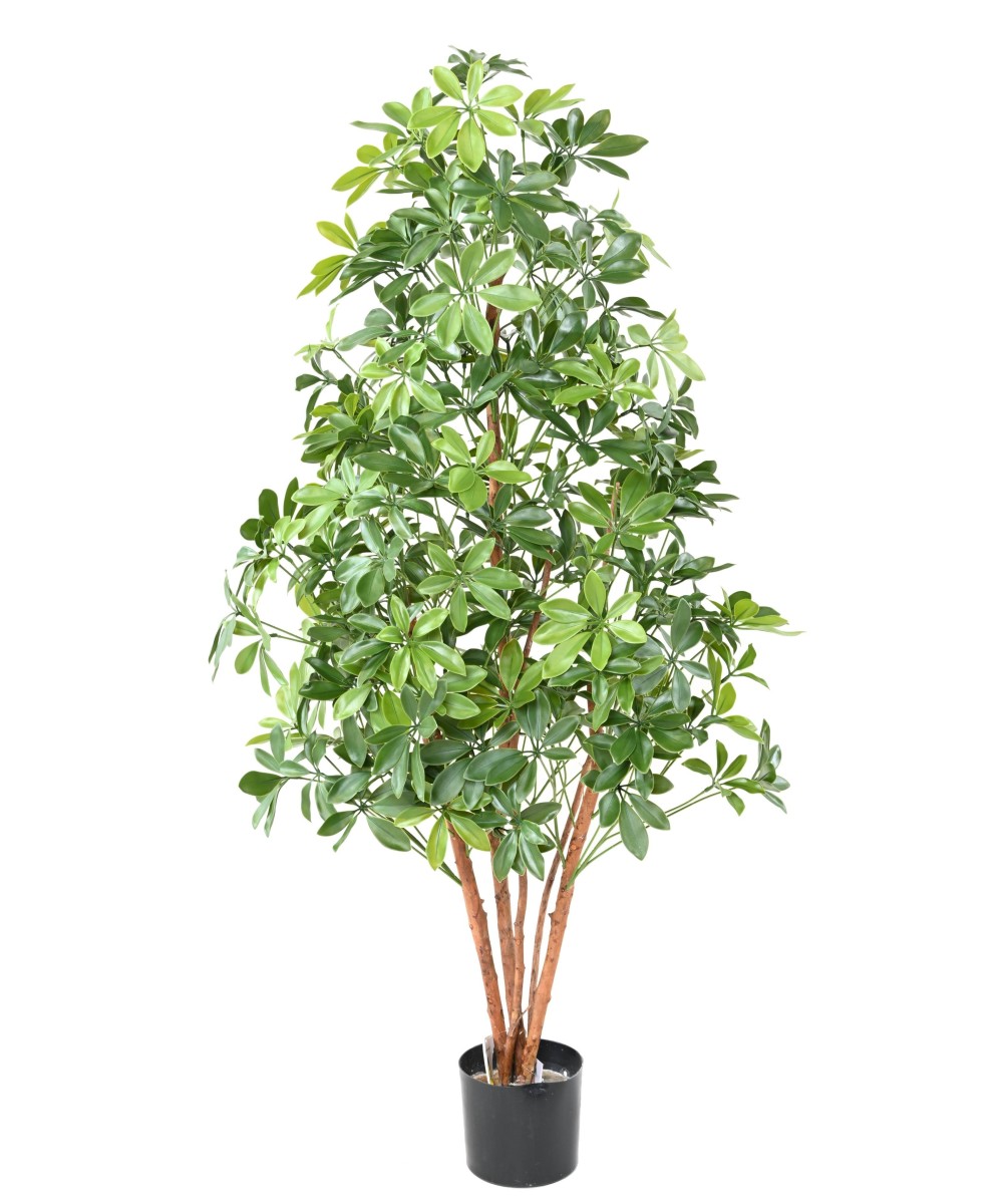 Artificial CHOISYA TREE PLAST 150 UV