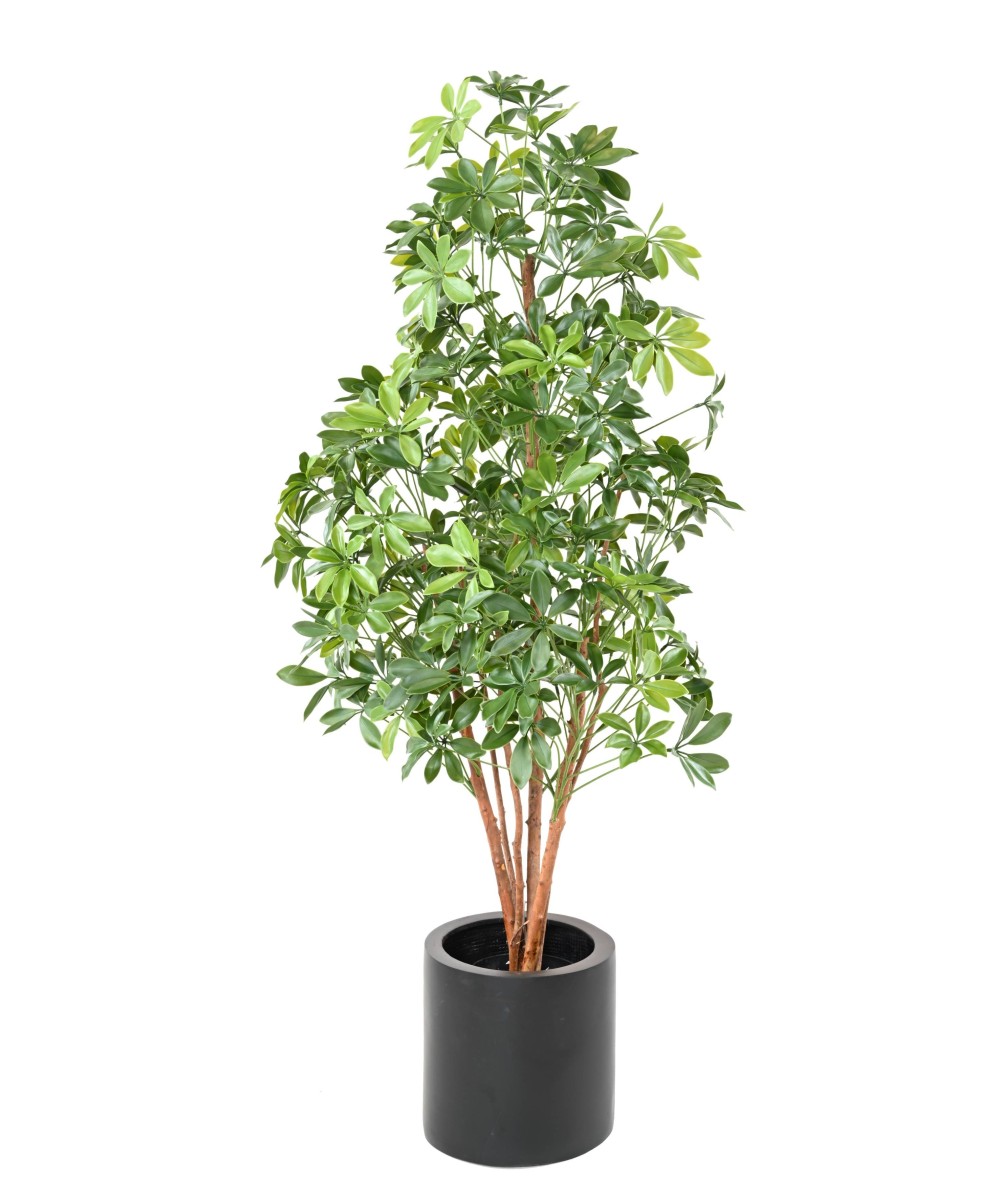 Kunstlik CHOISYA PUU plast 150 UV