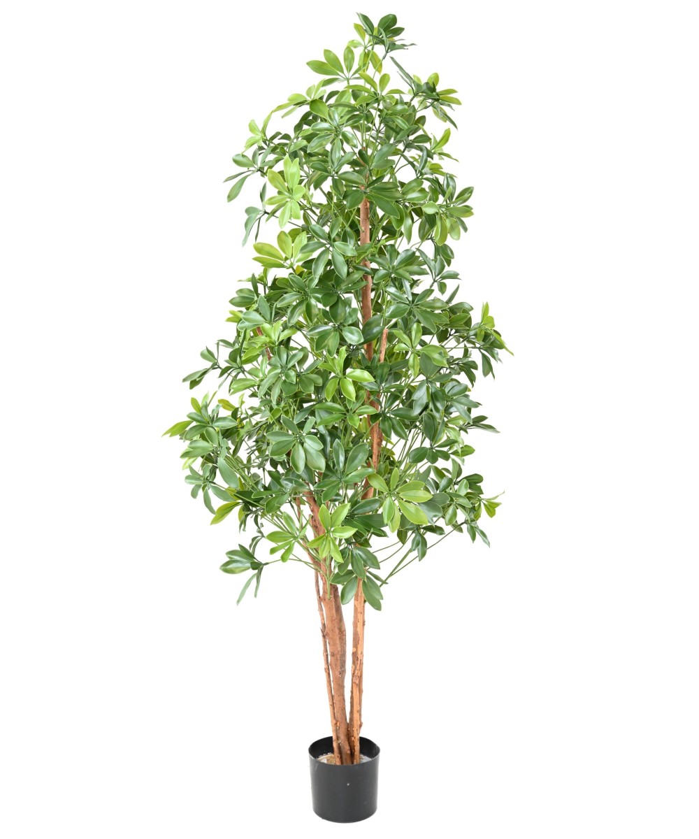 Artificial CHOISYA TREE PLAST 180 UV