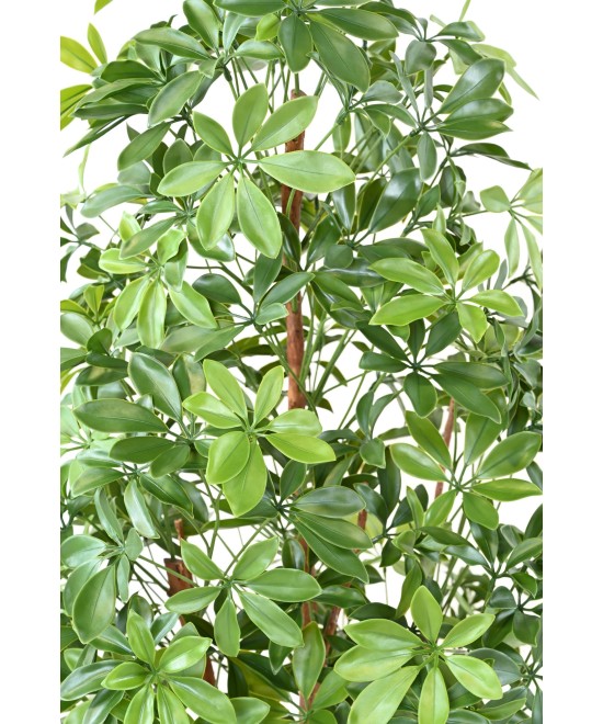 Artificial CHOISYA TREE PLAST 180 UV
