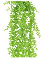 Artificial DICHONDRA HANGING BUSH LL
