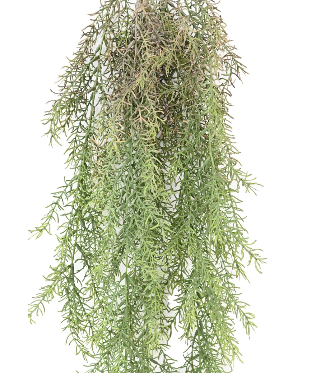 Kunstlik RHIPSALIS 101 RIPPPURSAS